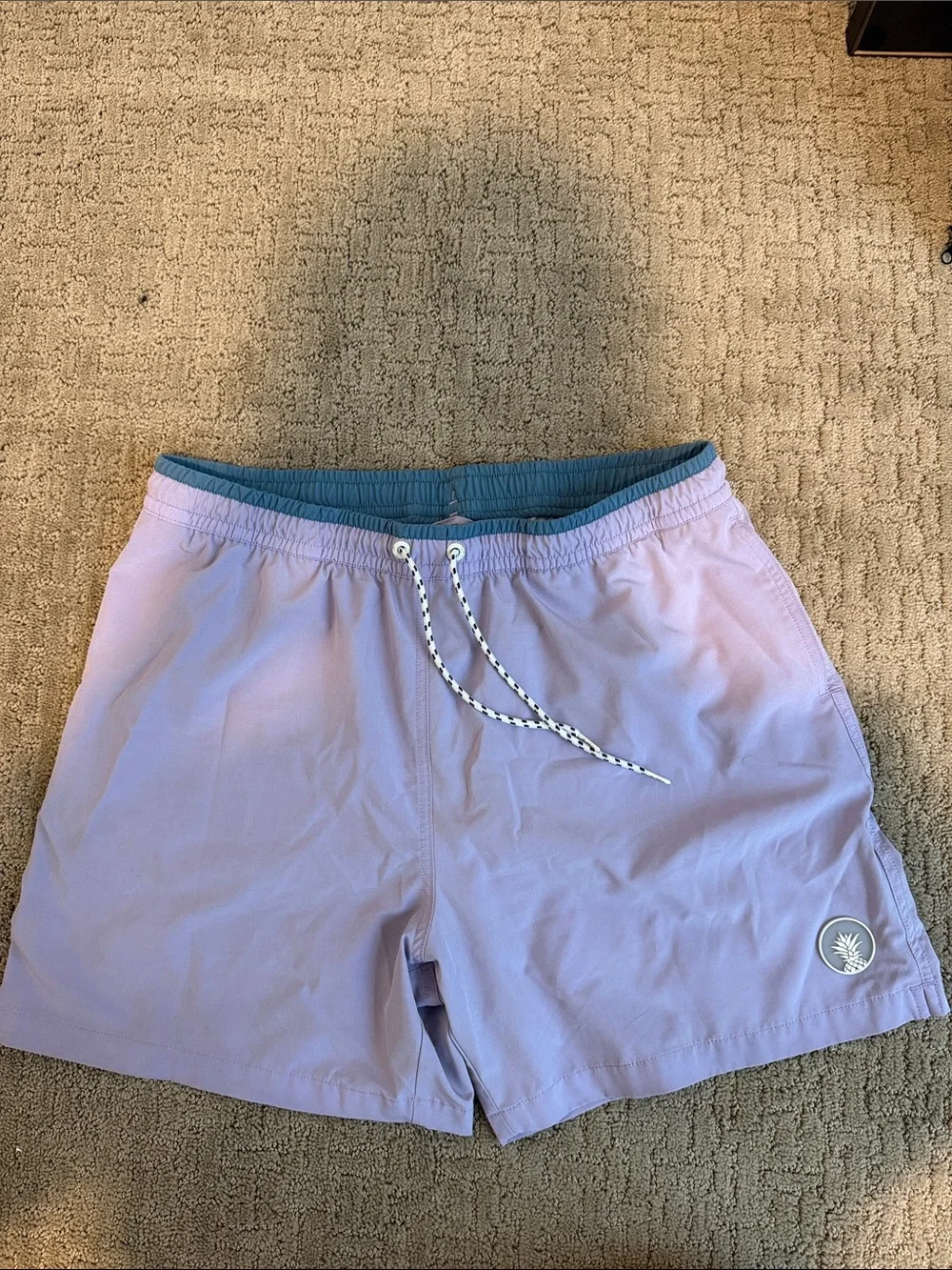 chubbies Lavender Swim Trunks with Teal Waistband